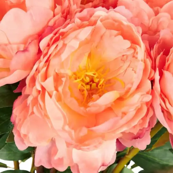 31" Orange Peony Artificial Flower Stem, 8ct. {5}