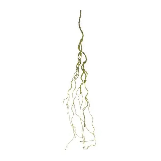 45" Mossy Twig Vines, 6ct. {3}