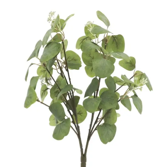 20" Eucalyptus Bush by Ashland&reg; {3}