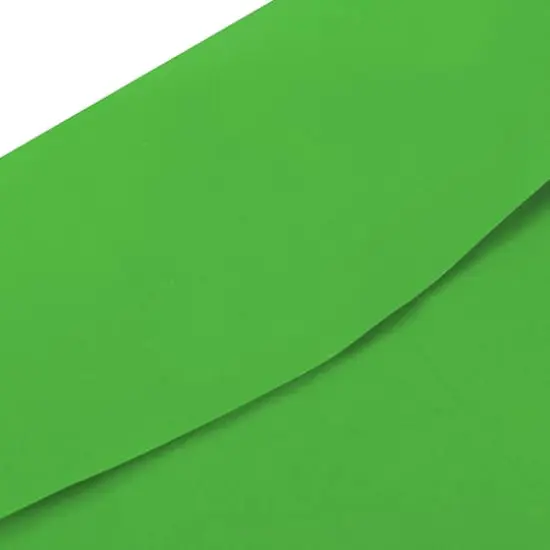 JAM Paper 6" x 9" Assorted Open End Catalog Envelopes, 60ct. {6}