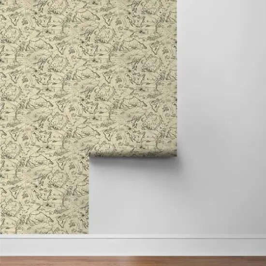 Tommy Bahama&reg; Charted Course Peel & Stick Wallpaper Parchment {10}