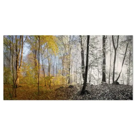 Designart - Yellow Morning in Forest Panorama - Landscape Canvas Art Print {1}