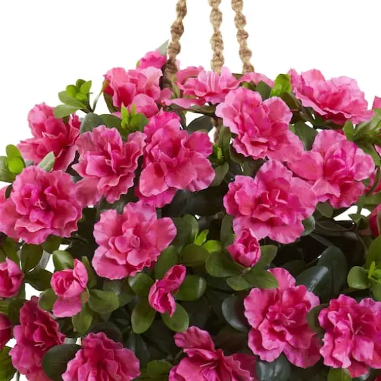 2.5ft. Pink Azalea Flowering Hanging Basket {3}