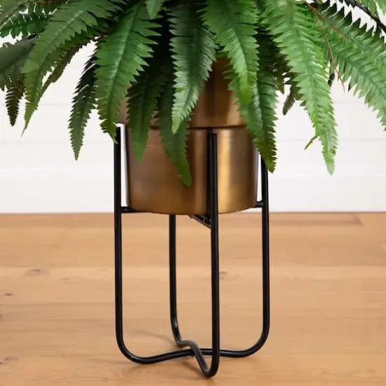 3ft. Boston Fern in Brass Metal Planter with Stand {5}
