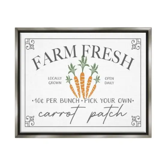 Stupell Industries Farm Fresh Carrot Patch Seasonal Springtime Vegetables Floater Framed Art Gray {1}