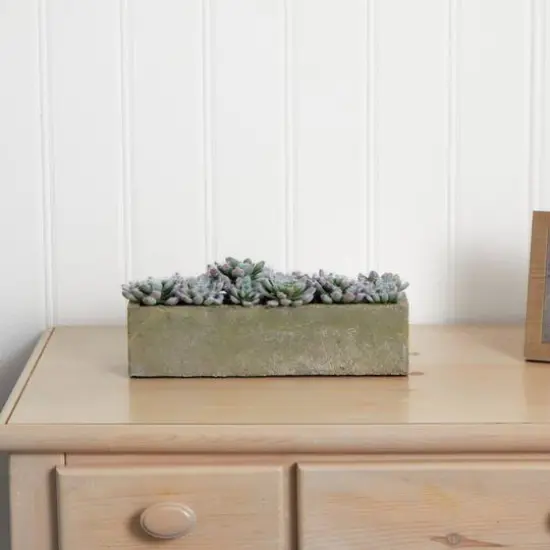 13.5" Succulent Garden with Textured Concrete Planter {7}