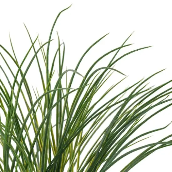 Assorted Short Grass Bush by Ashland&reg;, 1pc. {5}