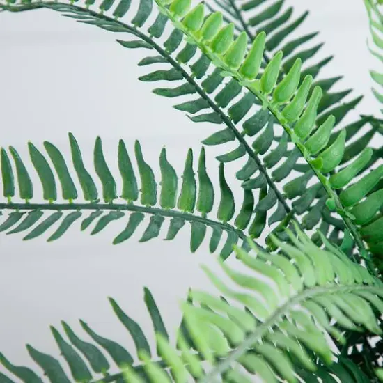 16" Artificial Boston Fern Plant in Decorative Cement Planter {6}