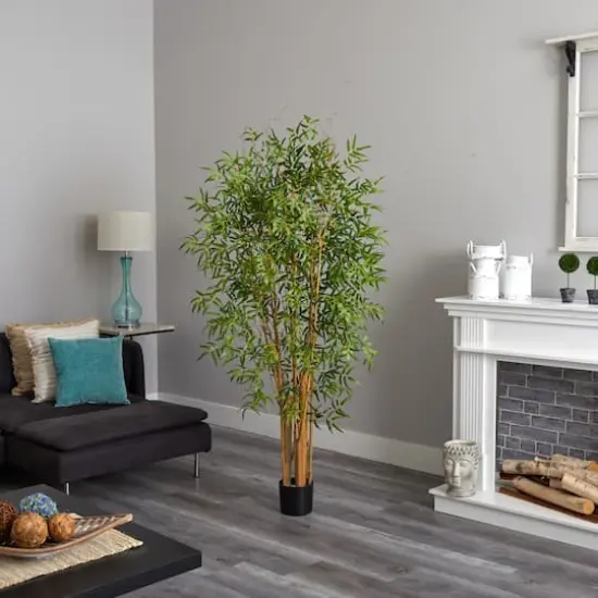 6ft. Potted Japanese Bamboo Tree {4}
