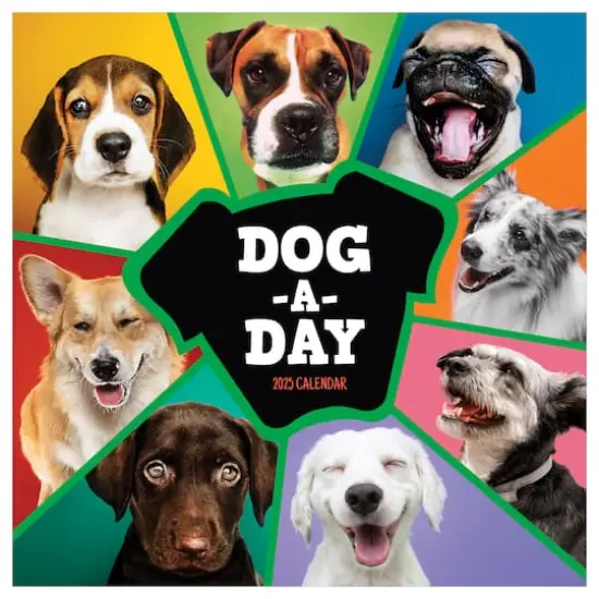 TF Publishing 2025 Dog-a-Day Wall Calendar {1}