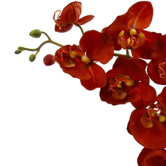 20" Rust Orchid & Fern Arrangement with Wood Planter {4}