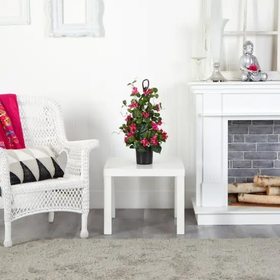 2ft. Potted Bougainvillea Climbing Plant {4}