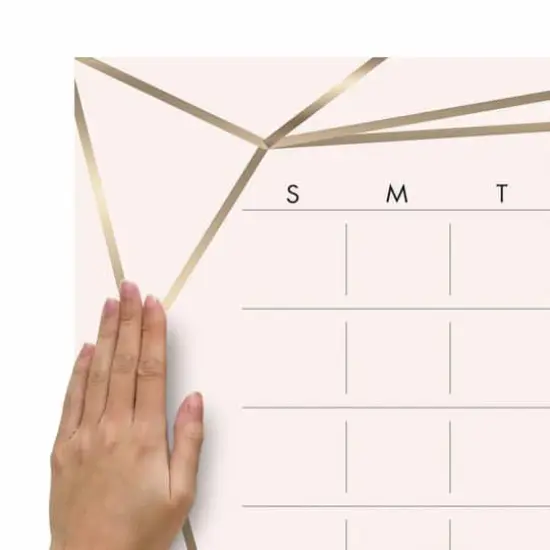 RoomMates Blush Beauty Dry Erase Calendar Peel & Stick Wall Decal {5}