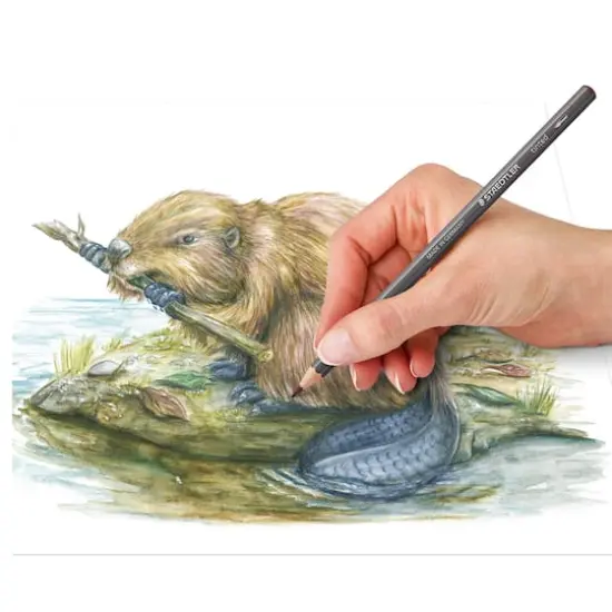 Staedtler&reg; Tinted Watercolour Pencils {4}