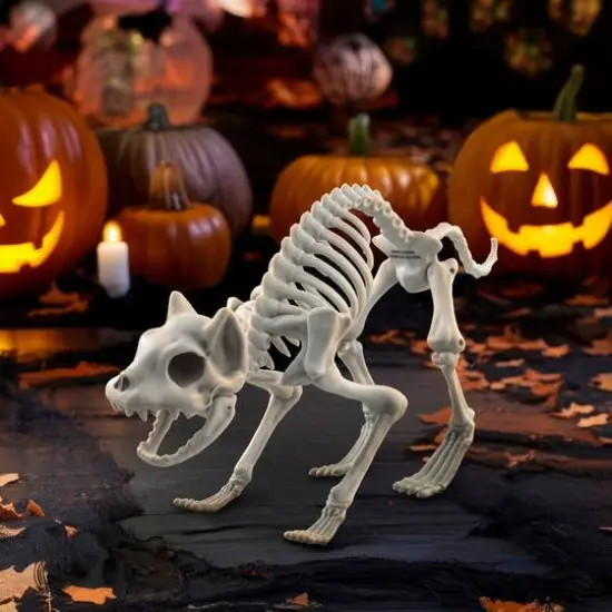 11" Cat Skeleton by Ashland&reg; {3}