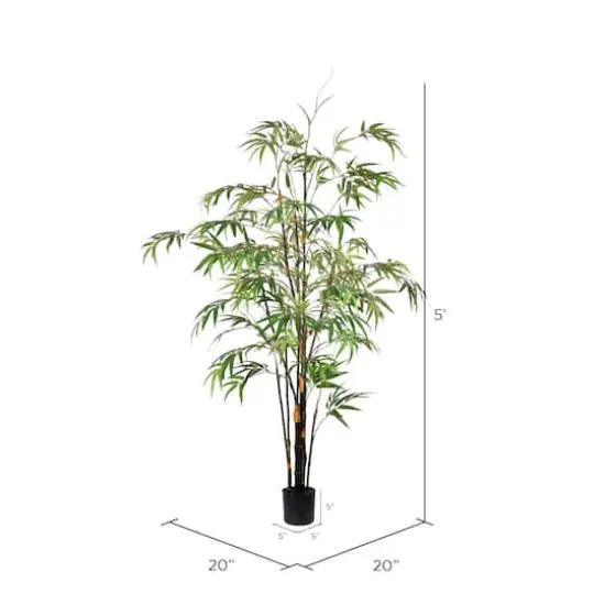 5ft. Potted Black Japanese Bamboo Tree {4}