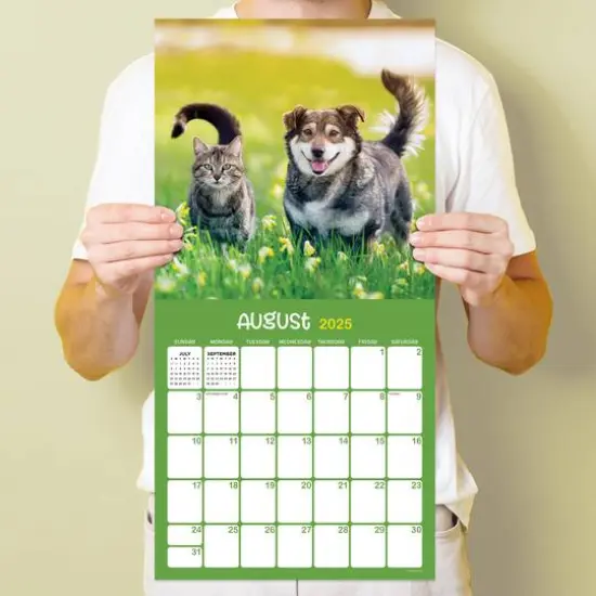 TF Publishing 2025 Furry Friends Wall Calendar {5}
