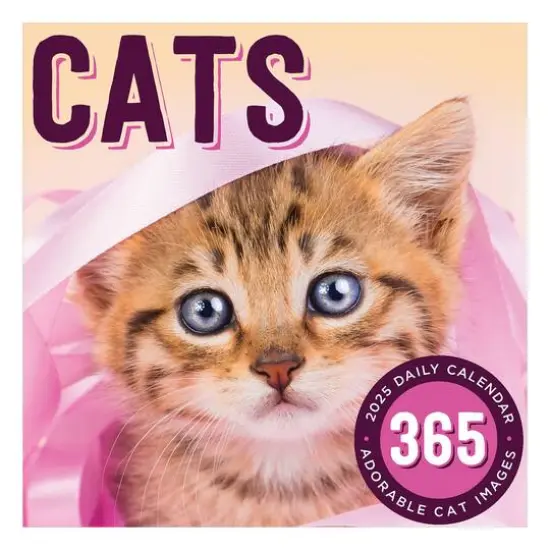 TF Publishing 2025 Cat A Day Daily Desktop Calendar {1}