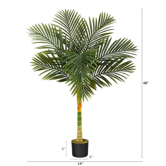 4ft. Potted Golden Cane Palm Tree {3}