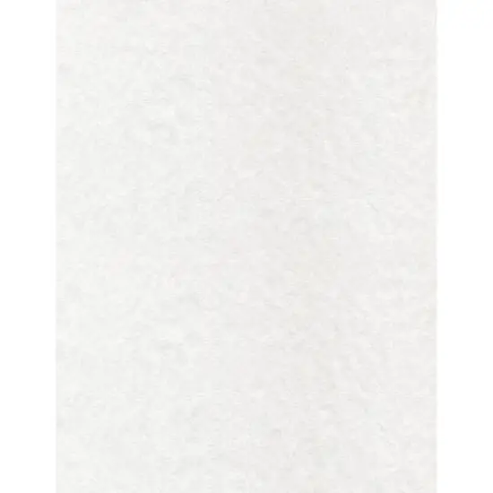 PA Paper&trade; Accents White 8.5" x 11" 30lb. Glassine Paper, 1000 Sheets {1}