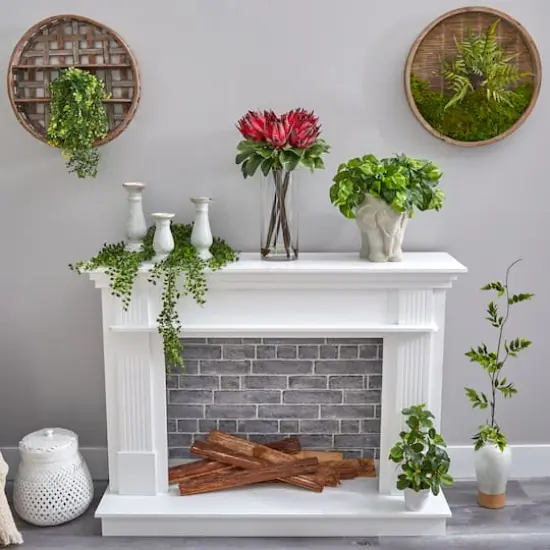 22" King Protea Floral Arrangement in Glass Vase {5}