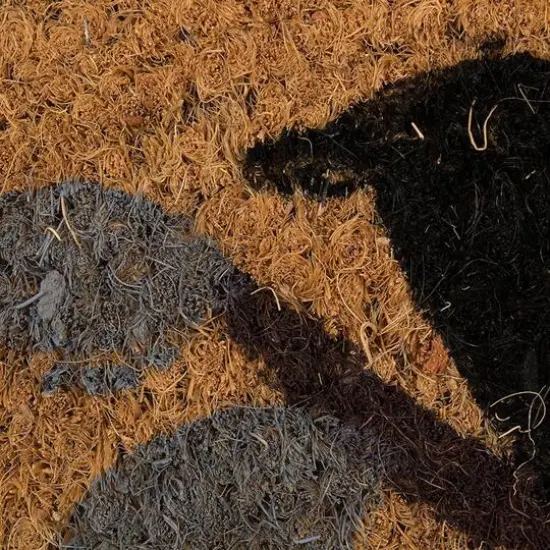 DII&reg; J&M Birds Vinyl Back Coir Doormat {3}