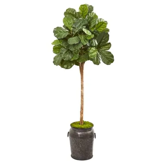6ft. Fiddle Leaf Fig Tree in Metal Planter {1}