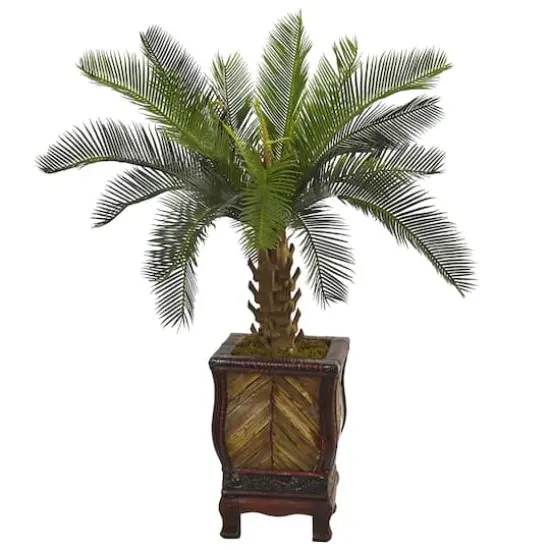 3ft. Cycas Palm Tree in Wood Planter {1}