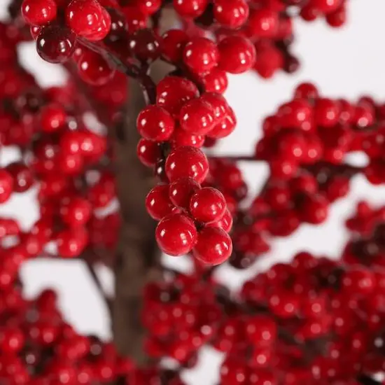 Glitzhome&reg; 41"H Chirstmas Berry Porch Tree {7}