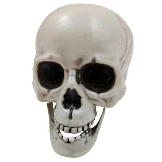 4" Skulls, 6ct. by Ashland&reg; {3}