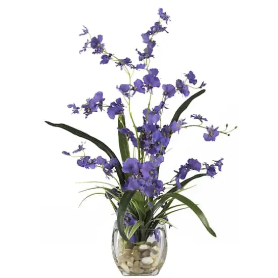 19" Purple Dancing Lady Orchid Arrangement in Vase {1}
