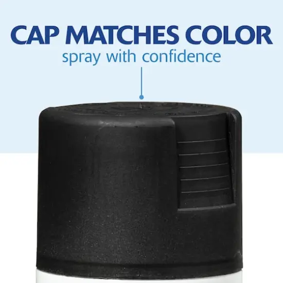 Rust-Oleum® Painter's Touch® 2X Ultra Matte Paint & Primer Spray Black {8}