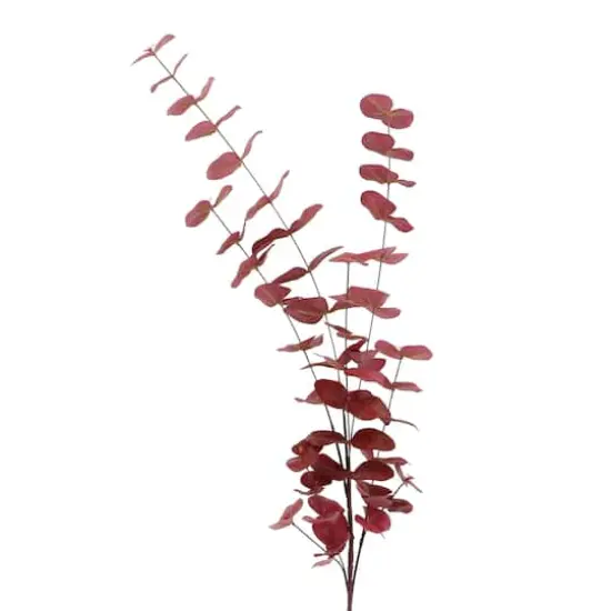 Tall Burgundy Eucalyptus Stem by Ashland&reg; {3}
