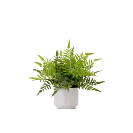 13" Artificial Boston Fern Plant with Decorative Planter  {1}