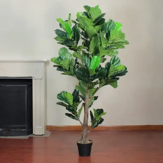 6ft. Dark Green Potted Fiddle Leaf Fig Tree {5}