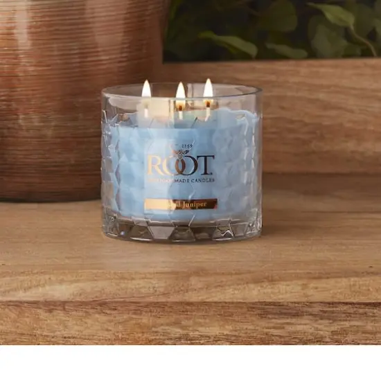 Root Candles Signature 3-Wick Honeycomb Beeswax Blend Jar Candle Frosted Juniper {3}