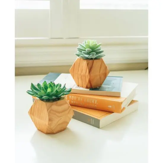 Flora Bunda&reg; 4.5" Succulent Plant in Wood Pot, 2ct. {4}