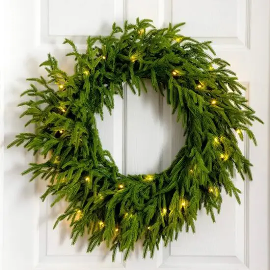 24in. Pre-Lit Artificial Real Touch Norfolk Island Pine Wreath with 50 Warm White LED Lights and Natural Look {10}
