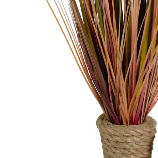 2.8ft. Red Grass Plant in Rope Pot {3}