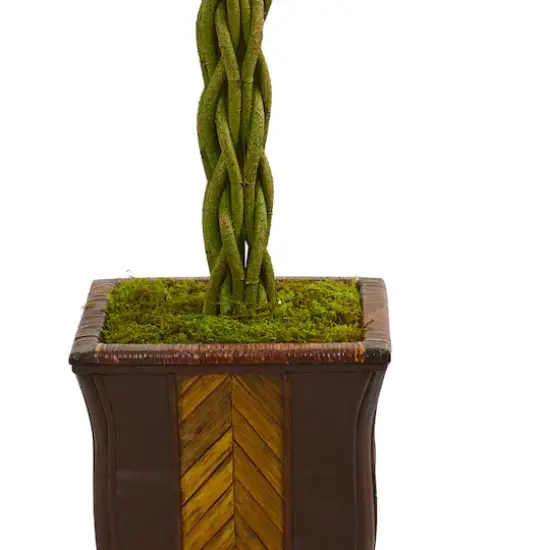 6ft. Braided Ficus Tree in Decorative Planter {4}