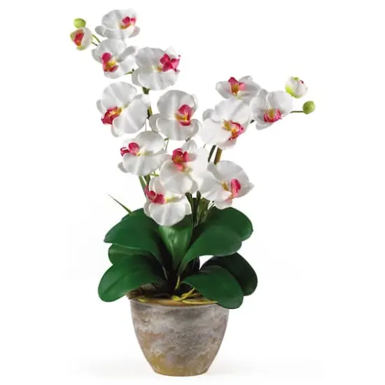 2ft. Double Moth Orchid Silk Flower Arrangement White {1}