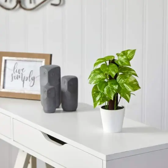9" Pothos Plant in Decorative White Planter {4}