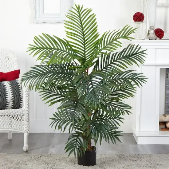 4ft. Potted Bamboo Palm Tree {3}