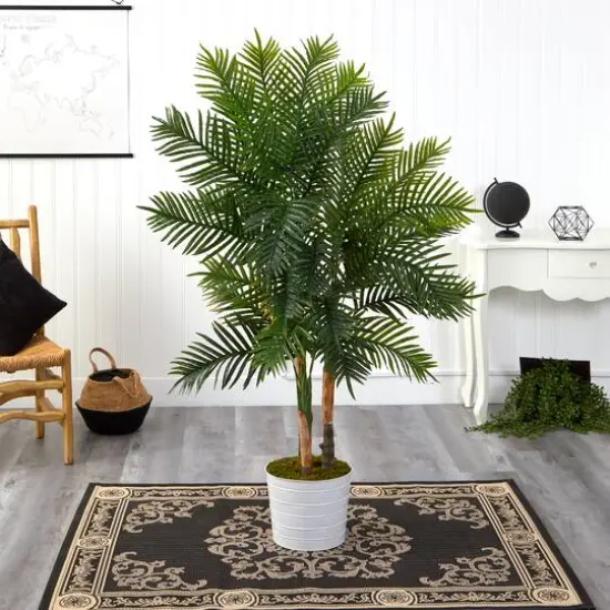 5ft. Areca Palm Tree in White Tin Planter {4}