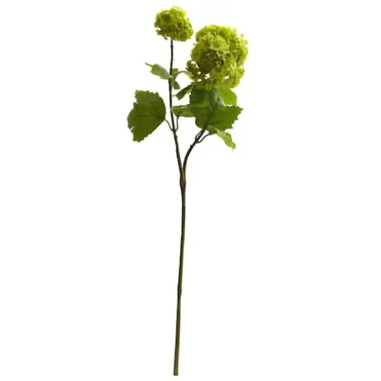 Green Snowball Hydrangea Stem, 6ct. {1}