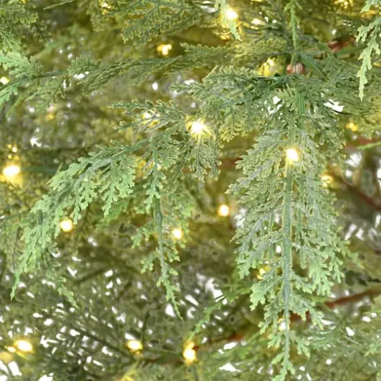 7.5ft. Pre-Lit Cypress Artificial Christmas Tree, Warm White LED Lights {5}