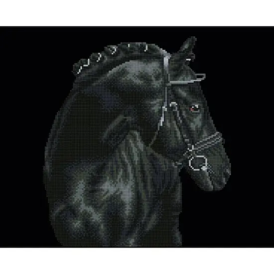 Diamond Dotz&reg; Intermediate Black Sheen Diamond Painting Kit {1}