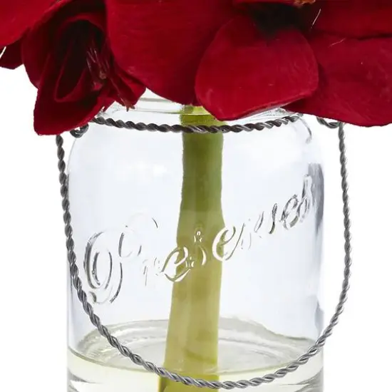 11" Amaryllis Arrangement in Glass Jar, 2ct. {4}
