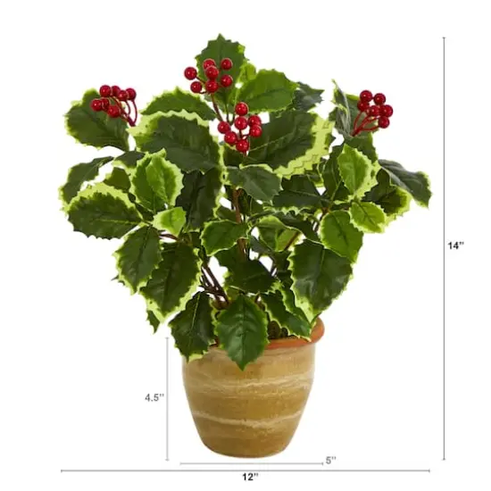 14" Variegated Holly Plant in Ceramic Planter {3}