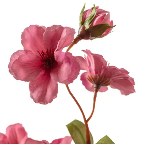Mauve Peach Blossom Stem by Ashland&reg; {4}